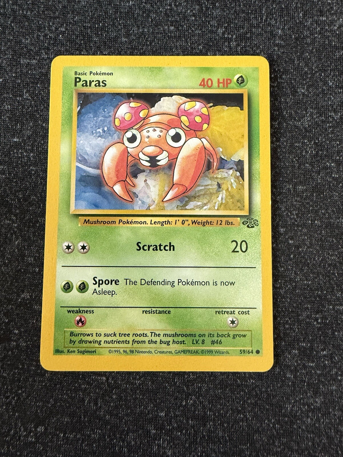 Cubone 50/64- Jungle- Regular Common- LP/NM/M