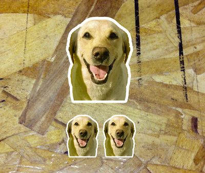 Laughing Smiling Happy Dog Lab Labrador Funny Sticker Decals - 3 for 1 - 3.75''