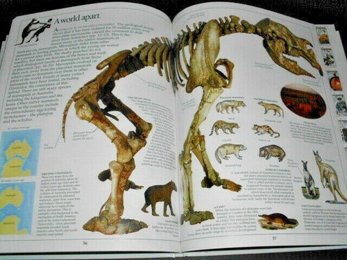 EYEWITNESS BOOKS : FOSSIL - Picture 4 of 11