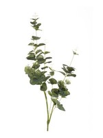 Artplants Kunstzweig Eukalyptus Derek, GrüN-Grau, 75Cm