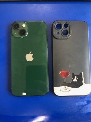 Apple IPhone 13/256GB/GRÜN/GEBRAUCHT/GUTER ZUSTAND/