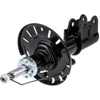 NTY StoßDäMpfer Gasdruck Vorne FüR CitroëN C4 Picasso II 3A_ 3E_ 1.5 Bluehdi