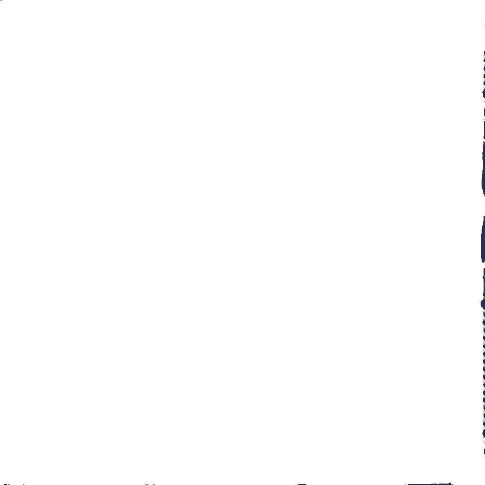 Cowboy & Western Craft Fabric