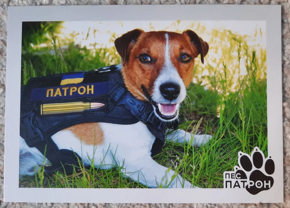 UKRAINE Stamp DOG PATRON MINESWEEPER Sheet F+Postcard+Envelope+Stickers - Image 3 of 4