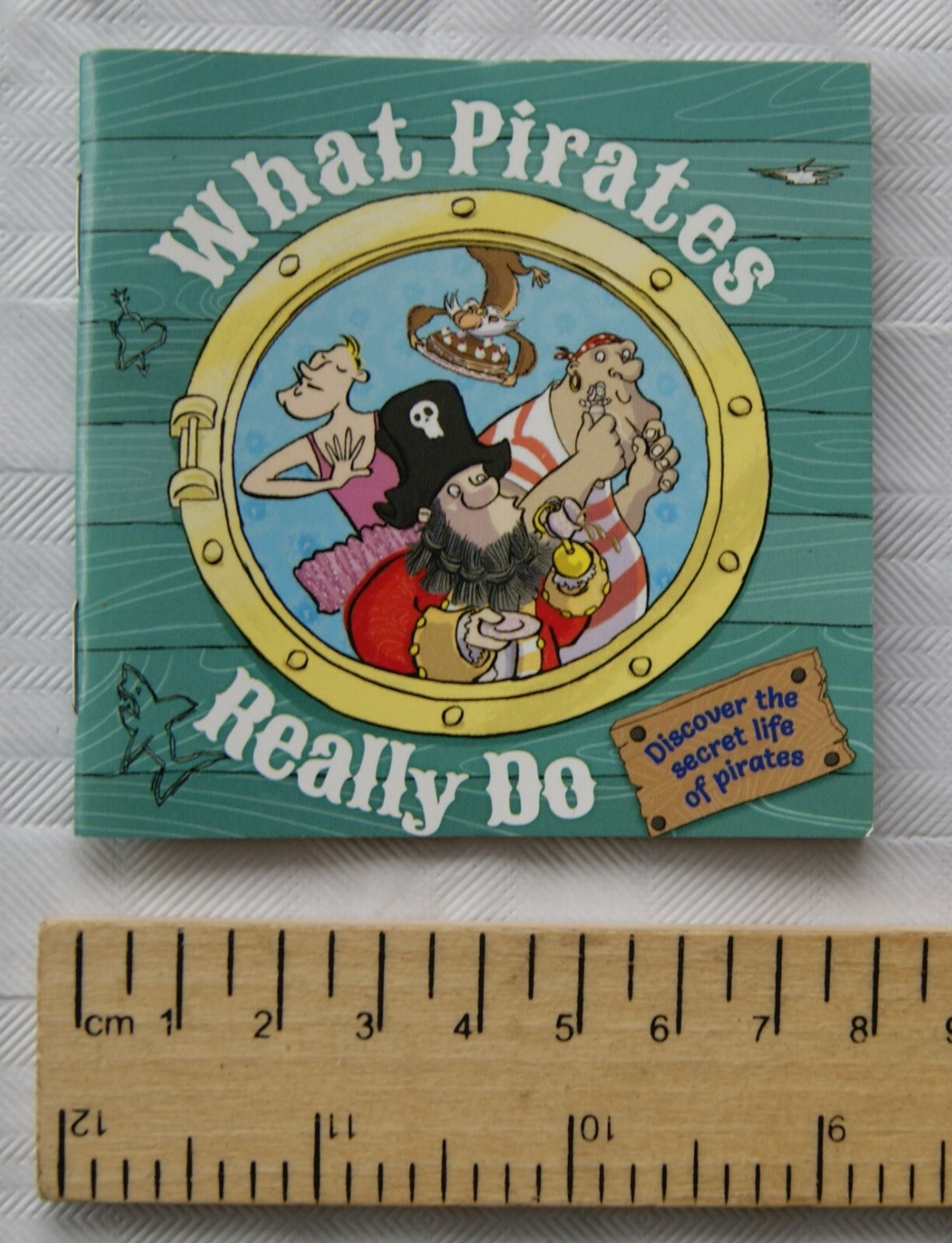 2019 children's mini book - What Pirates Really Do