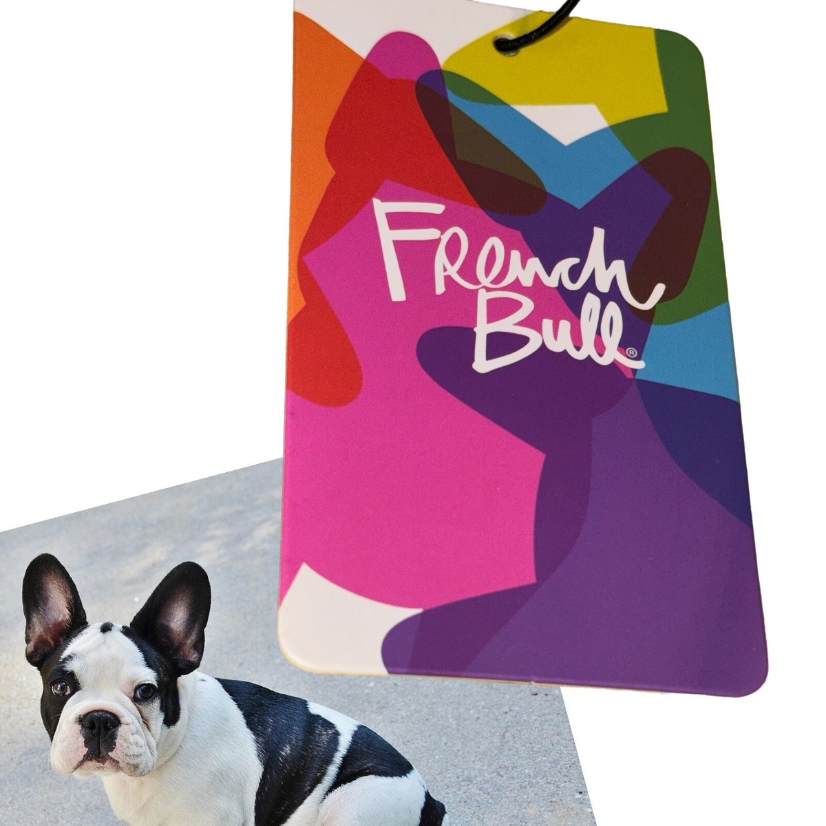 FRENCH BULL Makeup Bag Cosmetic Bag Rainbow French
