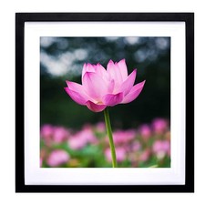 40x40 Diamond Painting Frames Picture Wood,Display Pictures16x16 Inch/ 40x40 ...