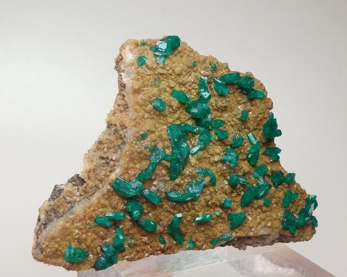 DIOPTASE crystals on QUARTZ ! Rep. CONGO Pool Depart. Mindouli Area /pi287 - Picture 5 of 13
