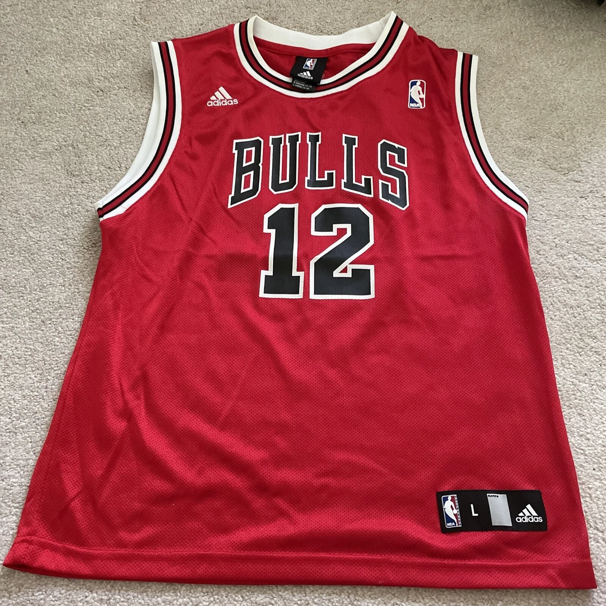 Kirk Hinrich Jersey In Nba Fan Apparel & Souvenirs for sale | eBay