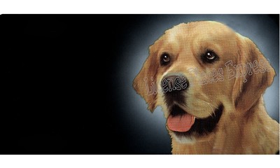 DOG Joke Funny Caterpillar Puppy K9 Cat Work Vehicle License Plate Auto Car Tag - Foto 5