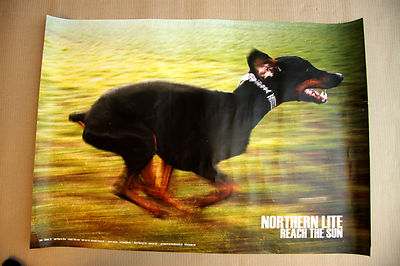 Poster NORTHERN LITE reach the sun, Dobermann Hund, 59,5 x 84 cm NEU