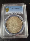 1921-S $1 Morgan Silver Dollar Pcgs ms-63 gold shild
