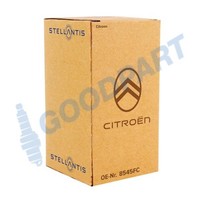 Original Citroen Schutzleiste TüR Vorne Rechts 8545FC