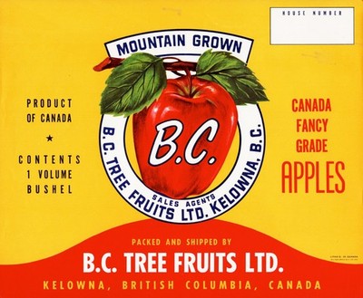 B.C. Brand Mountain Grown Fcy Apples Original Canadian Fruit Crate Label Kelowna