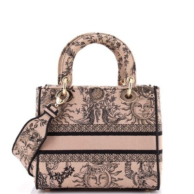 Christian Dior Lady D-Lite Bag Embroidered Canvas Medium | eBay