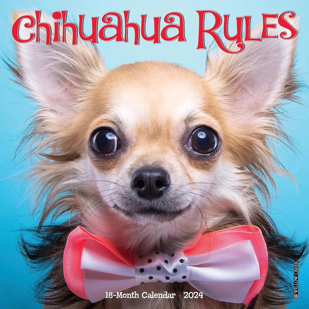 CHIHUAHUA RULES - 2024 MINI CALENDAR - BRAND NEW - 36709 | eBay