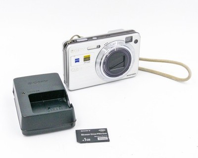 Sony Cyber-Shot DSC-W170 Super SteadyShot Digital Point-and-Shoot Camera