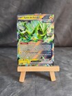 Carte Pokémon Epine-de-Fer EX 077/167 Pokemon Card FR