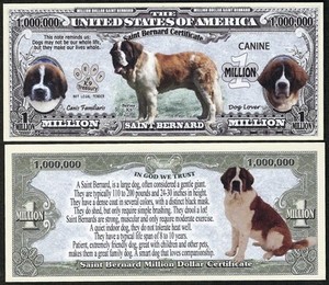 Bold Lot Of 500 Bills Saint Bernard Dog Bill Puppy Adult Pics Common Traits Search For Ladies Www Globalwealths Org