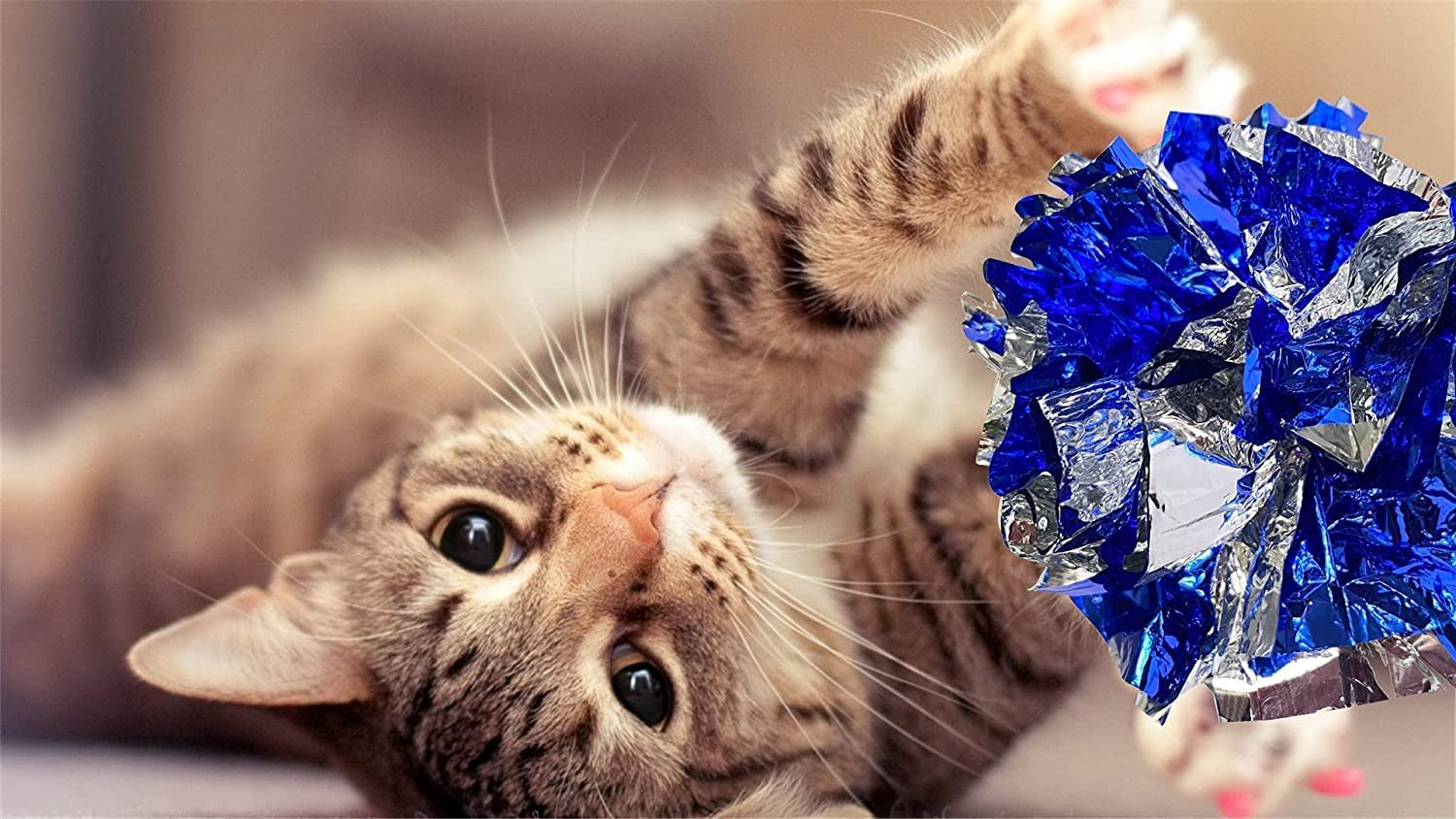 Cat Toys for Indoor Cats: Cat Spring Toy 12Pcs and Crinkle Balls 4Pcs ...