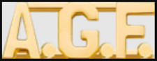 BLACKINTON 1/2"-A.G.F. Letter Collar Brass Insignia Gold Finish Uniform PIN