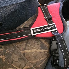 Sports Dog Harness Set - Red  Small