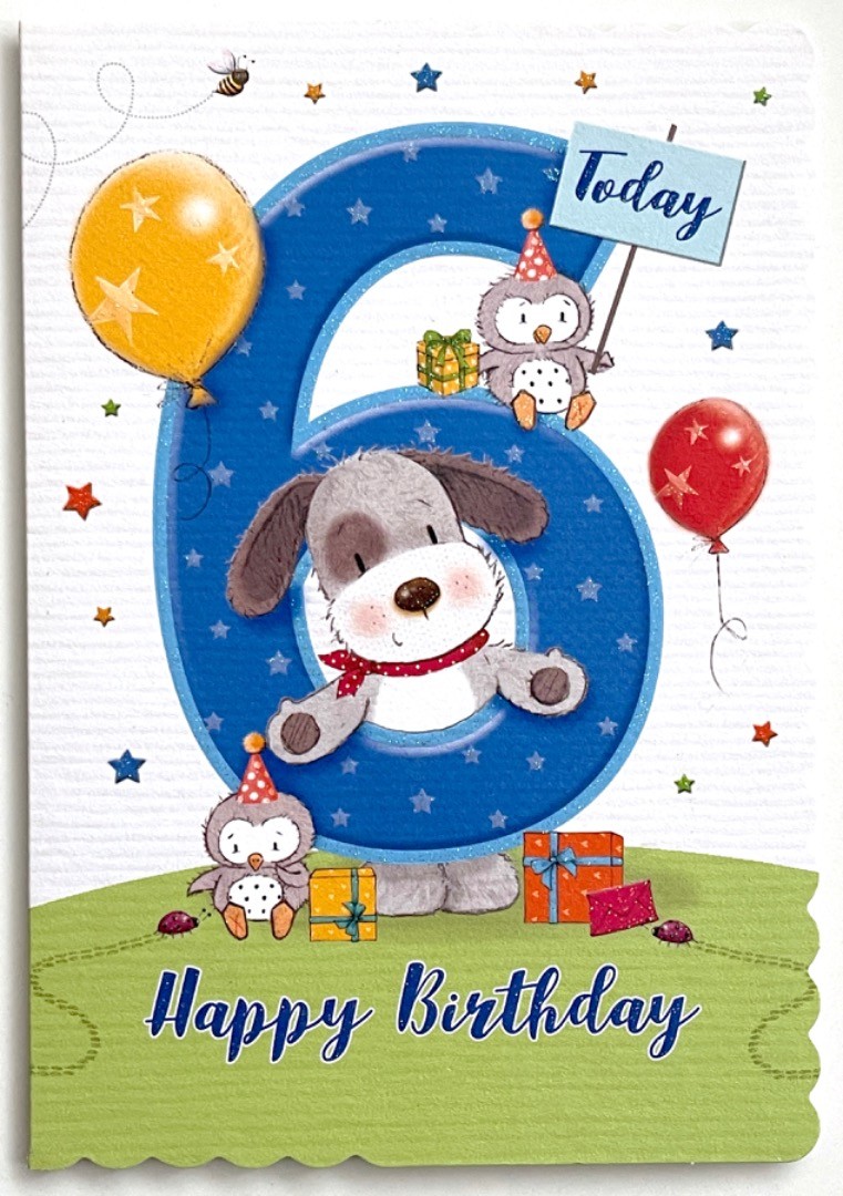 6 Today Happy 6th Birthday Hip Hip Hooray Cute Dog Owls Gifts and Balloons - Blu