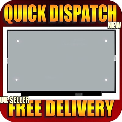 17,3'' ERSATZ DELL ALIENWARE X17 R1 LAPTOP DISPLAY BILDSCHIRM AG FULL HD 40 PINS