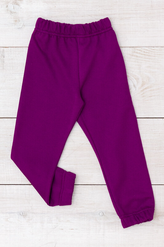 Pants (Girls),Demi-season, Demi-season,  Nosi svoe 6155-023-5 (baklazhan)