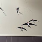 Foto 19 di 20