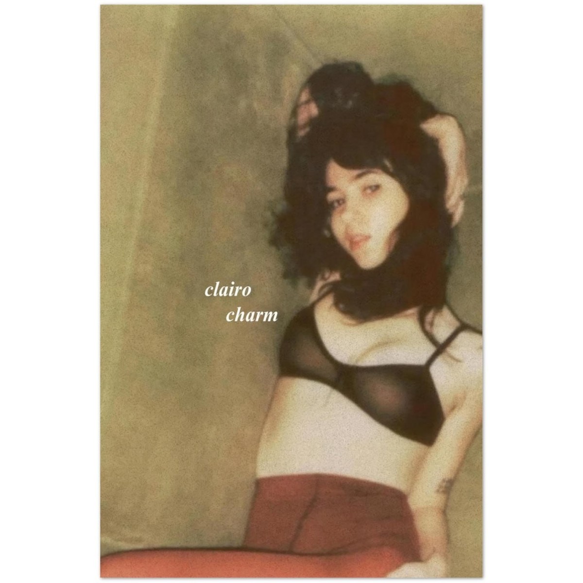 Clairo Charm Indie Pop Aesthetic Album Art Poster | eBay