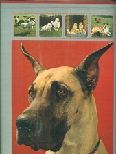 ENCICLOPEDIA DEL CANE 2VV AA.VV. RIZZOLI 1970  RILEGATO CON SOVRACCOPERTA