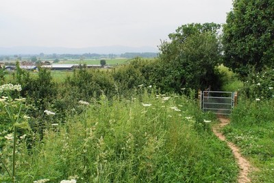 Foto 12x8 Fußweg bei Levent Lodge Holly Green\/SO8641 Der Weg ist auf S c2018