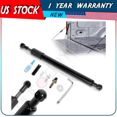 Tailgate Assist Struts Lift Support Fits 02-12 Dodge Ram 1500 2500 3500 DZ43300