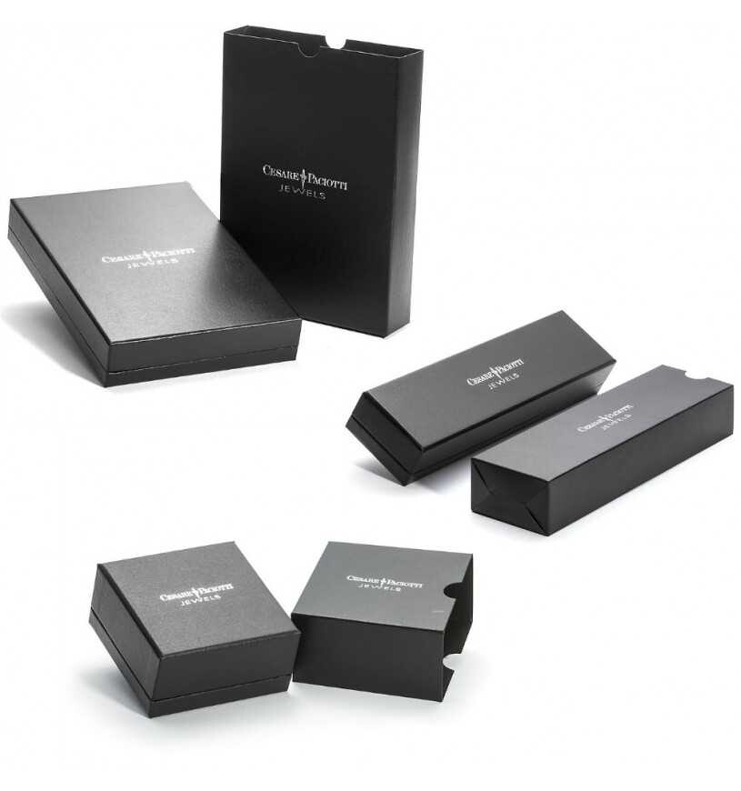 Collana uomo Cesare paciotti argento Rosa dei venti JPCL1797V