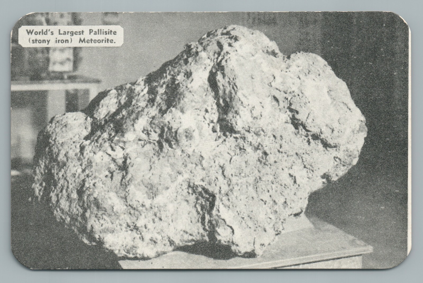 “World's Largest Pallisite” METEORITE Iron GREENSBURG Kansas—Rare