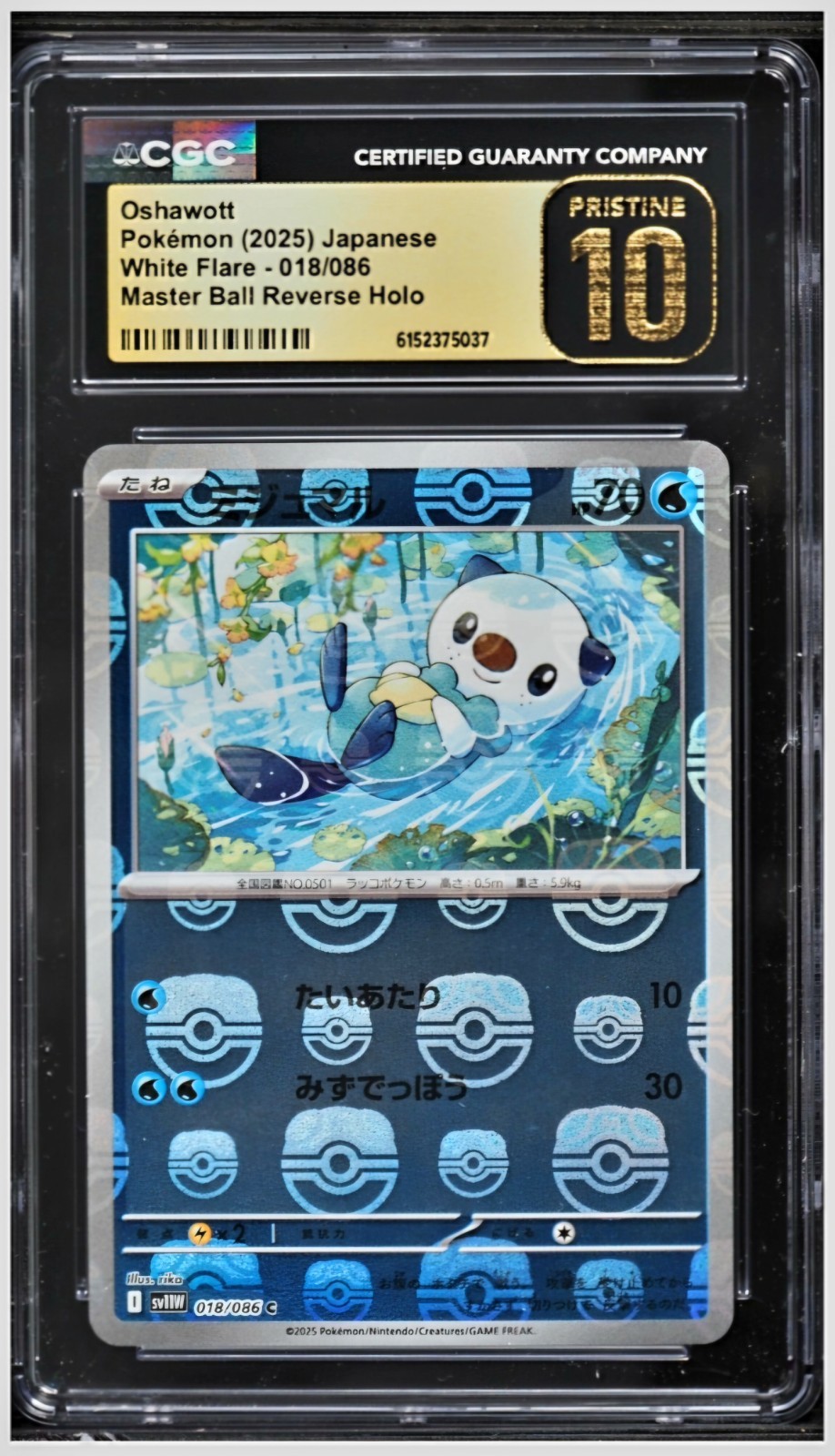 2025 😺 CGC 10 Pristine Oshawott 18/86 Master Ball White Flare Holo JPN Pokemon 