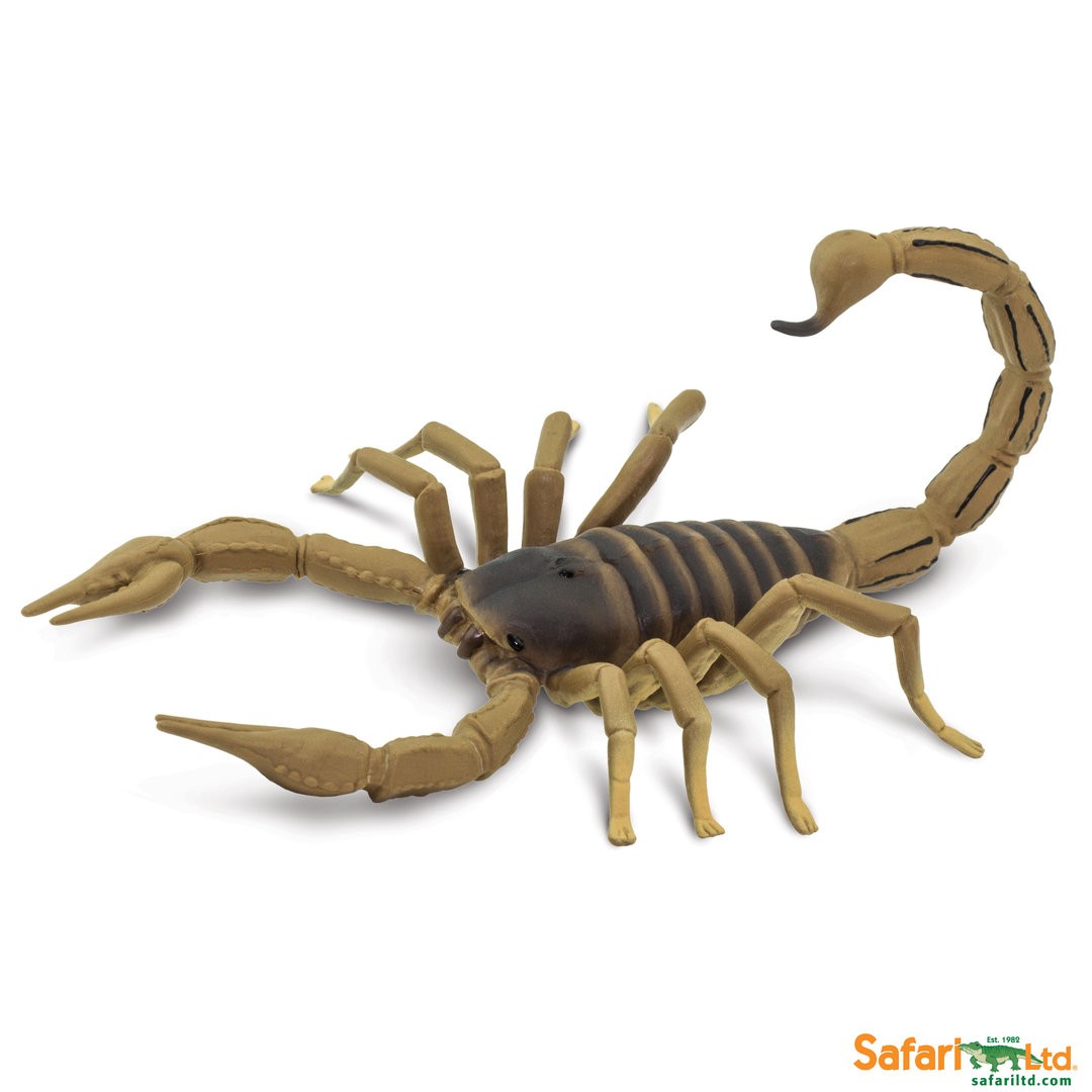 Safari Ltd 100260 Scorpion 18 Cm Series Incredible Creatures