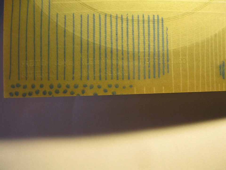 Flexi Disc Tonpostkarte The Fortunes Freedom Come Nr. 216 Danyel Gerard 