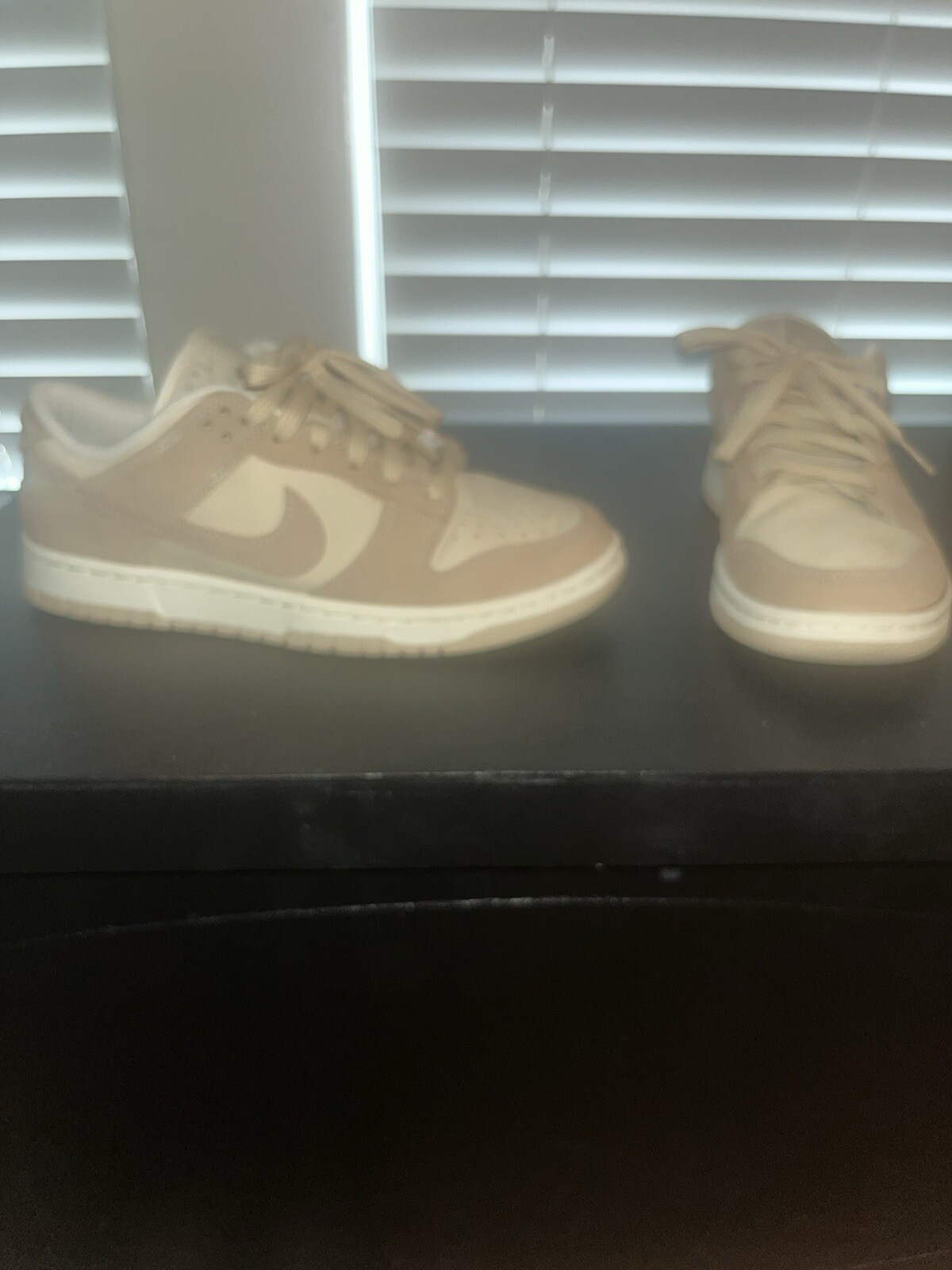 Nike Dunks - image 1