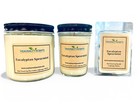 Eucalyptus Spearmint Soy Candle and Wax Melt