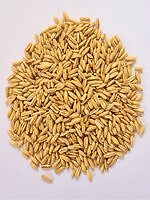 Avena sbucciata biologica