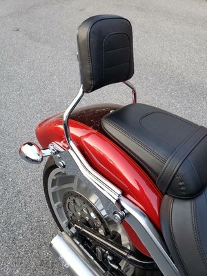 2019 fatboy sissy bar