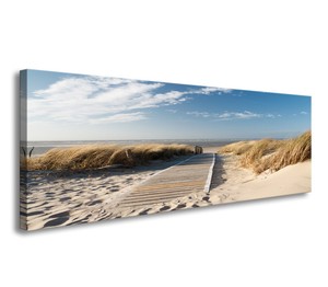 Bilder Leinwandbild Wandbild Pusteblume 120 x 40 cm aufhängfertig 5741