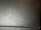 Picture 4 of 11
