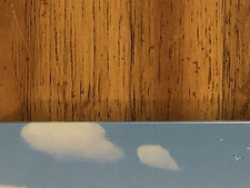 MOANA 3D Limited Steelbook Edition  USA 