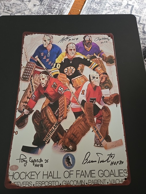 New 2D Flat Metal Aged 8x12 Sign Hockey Hall Of Fame Goalies