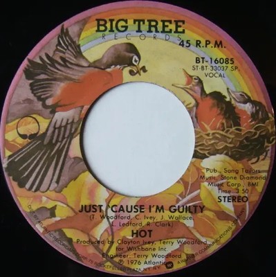 Hot Angel In Your Arms / Just Cause Im Guilty Vinyl Single 7inch big tree
