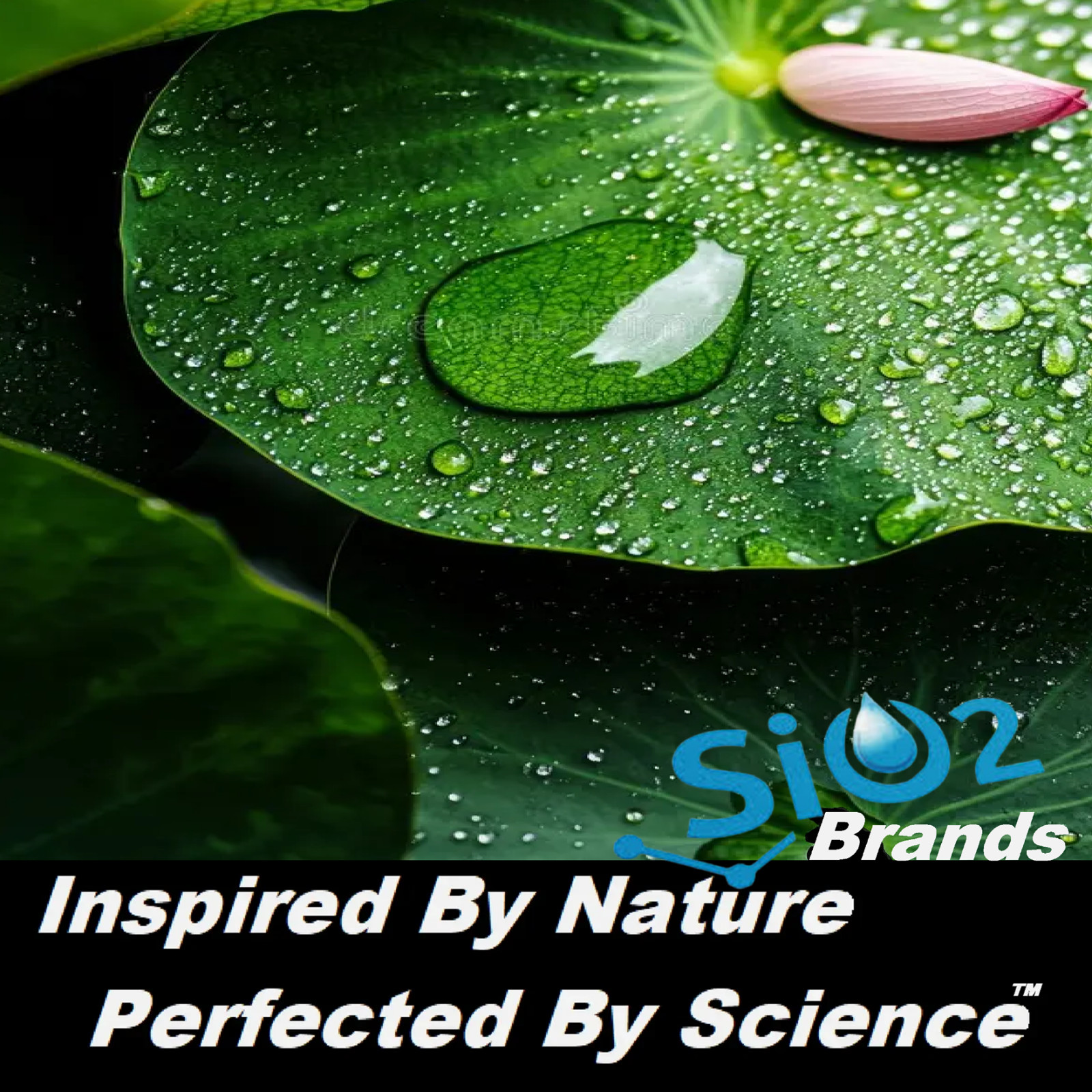 NANO ROOF PROTECTION 10 YEAR STAIN FADING CERAMIC COATING FOR ASPHALT SHINGLES