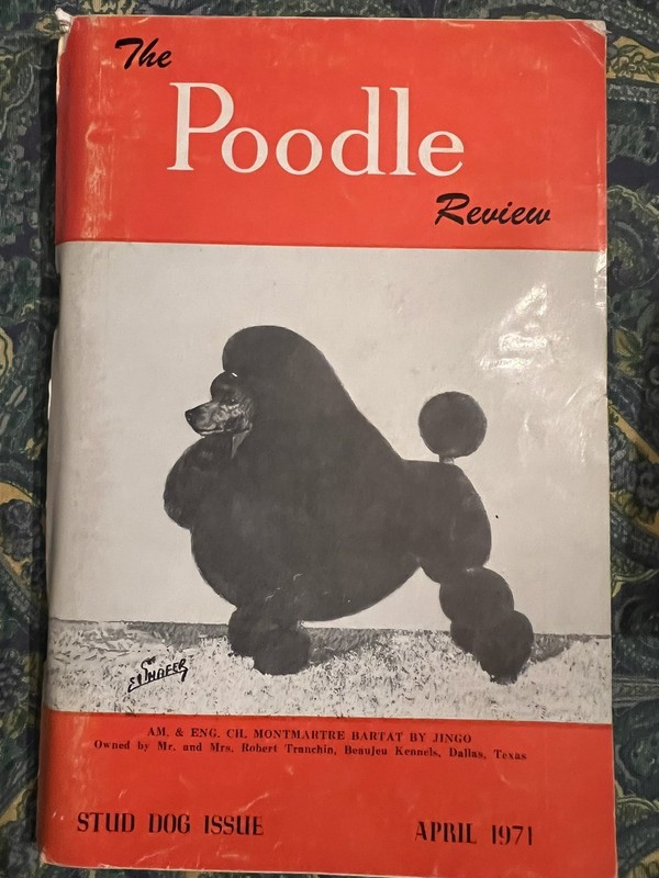 POODLE REVIEW Magazine #26 Stud Issue 1971
